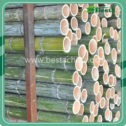 Bamboo Stick Machinery