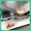 Toothpick Plastic Container Packing Machine (PZJ-1)