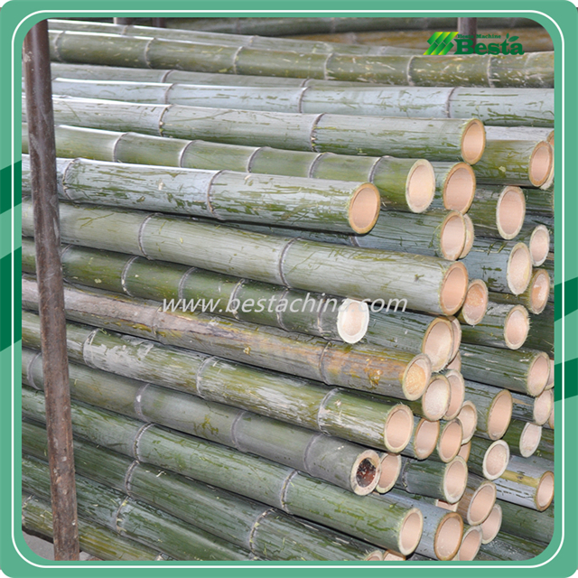 Raw Bamboo Sawing Machine, Bamboo Processing Machine