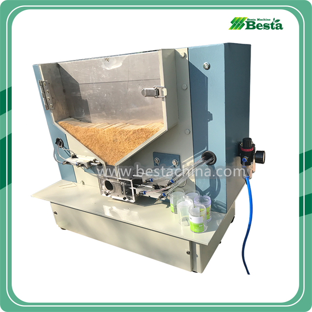 Toothpick Plastic Container Packing Machine (PZJ-1)